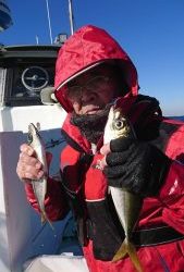 KONAYAーMARU(こなや丸) 釣果