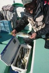 KONAYAーMARU(こなや丸) 釣果