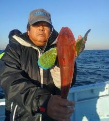東京湾探釣隊ぼっち 釣果