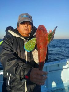 東京湾探釣隊ぼっち 釣果