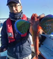 東京湾探釣隊ぼっち 釣果