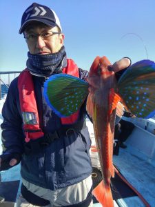 東京湾探釣隊ぼっち 釣果