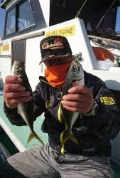 KONAYAーMARU(こなや丸) 釣果