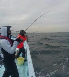 東京湾探釣隊ぼっち 釣果
