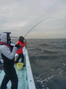 東京湾探釣隊ぼっち 釣果