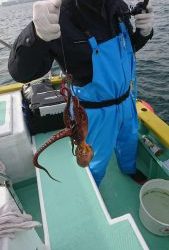 ＫＯＮＡＹＡｰＭＡＲＵ（こなや丸） 釣果