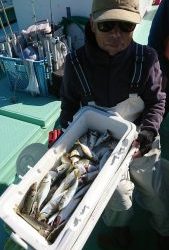 KONAYAーMARU(こなや丸) 釣果