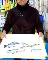 和歌山マリーナシティ釣り公園 釣果