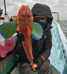 東京湾探釣隊ぼっち 釣果