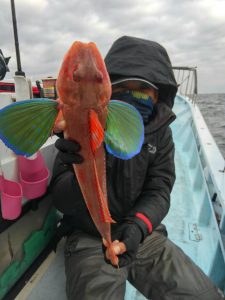 東京湾探釣隊ぼっち 釣果