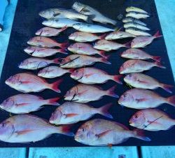 東京湾探釣隊ぼっち 釣果