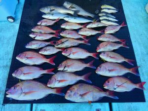 東京湾探釣隊ぼっち 釣果