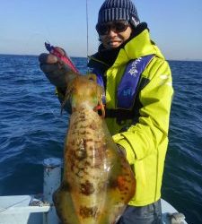 東京湾探釣隊ぼっち 釣果