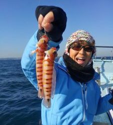 東京湾探釣隊ぼっち 釣果