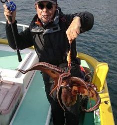 KONAYAーMARU(こなや丸) 釣果