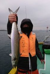 KONAYAーMARU(こなや丸) 釣果