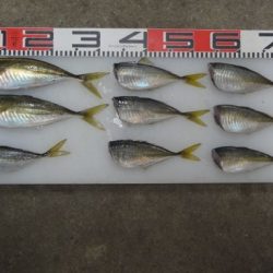 のとじま臨海公園海づりセンター 釣果