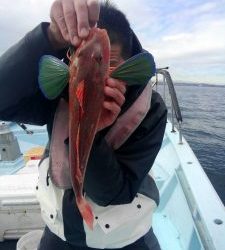 東京湾探釣隊ぼっち 釣果