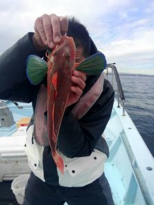 東京湾探釣隊ぼっち 釣果