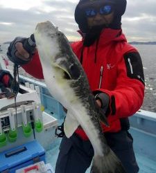東京湾探釣隊ぼっち 釣果