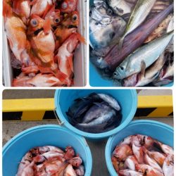 第三隆栄丸 釣果