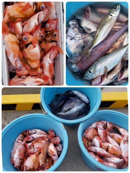 第三隆栄丸 釣果