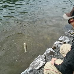 フィッシングエリア帝釈 釣果