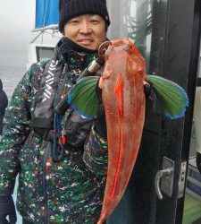東京湾探釣隊ぼっち 釣果