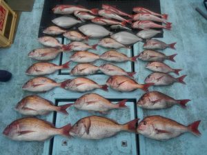 東京湾探釣隊ぼっち 釣果