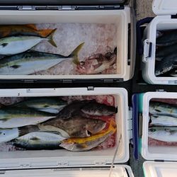 気仙沼　つり丸 釣果