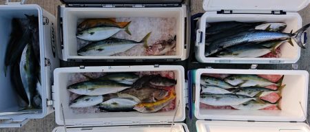 気仙沼　つり丸 釣果