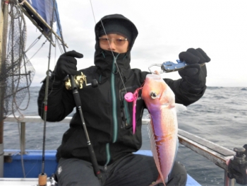 鯛紅丸 釣果
