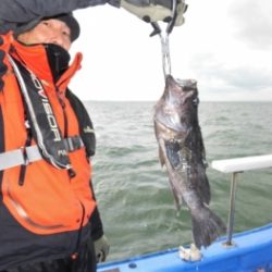 鯛紅丸 釣果