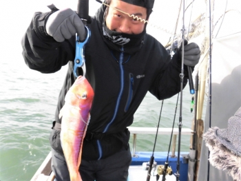 鯛紅丸 釣果