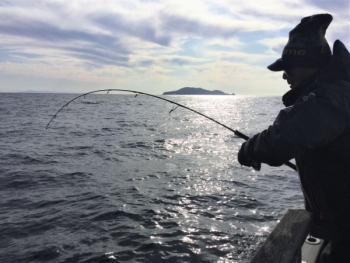 鯛紅丸 釣果