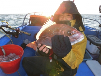 鯛紅丸 釣果