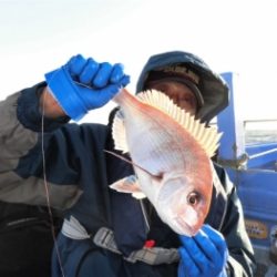鯛紅丸 釣果