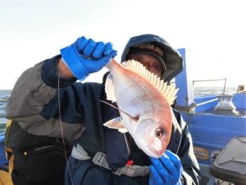 鯛紅丸 釣果