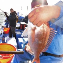 鯛紅丸 釣果
