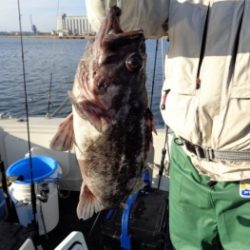 鯛紅丸 釣果