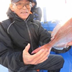 鯛紅丸 釣果
