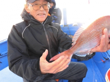 鯛紅丸 釣果