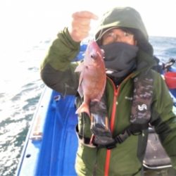 鯛紅丸 釣果