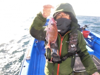 鯛紅丸 釣果