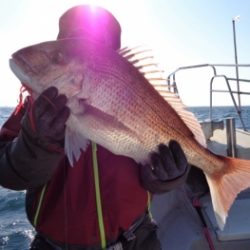 鯛紅丸 釣果