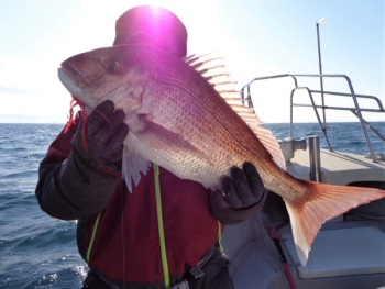 鯛紅丸 釣果