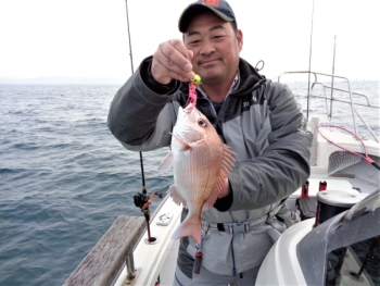 鯛紅丸 釣果