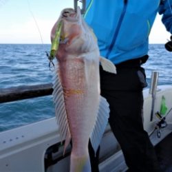 鯛紅丸 釣果
