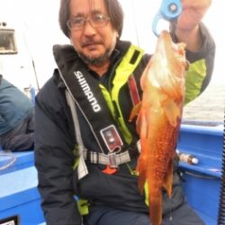 鯛紅丸 釣果
