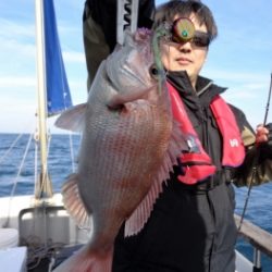 鯛紅丸 釣果